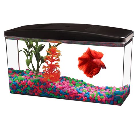 12-Gallon Fish Tank with Full Hood for Aqua Culture Betta View in Nepal ...