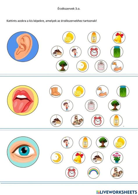 An Info Sheet Showing The Different Types Of Ear And Nose Piercings In