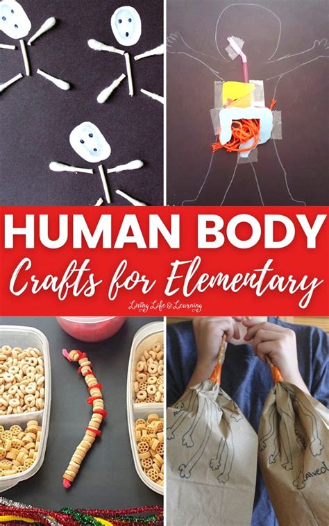 Human Body Crafts for Elementary Story - Living Life and Learning