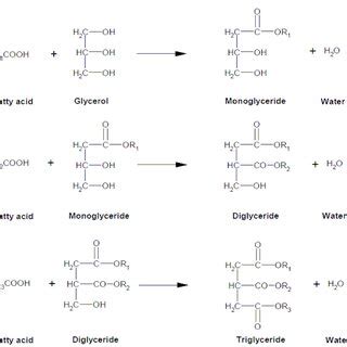 Structures Of Lysophospholipids R Alkyl Chain X Polar Group