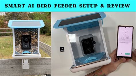 Kactoily Smart Ai Bird Feeder Setup And Review Youtube