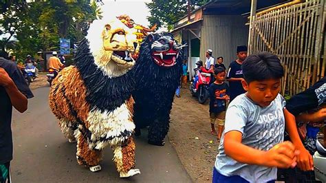 Ini Macan Ba Lakek Diiringi Drumband Ba Lakek Arak Arakan Kejar Kejar