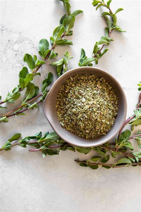 What Is Marjoram And How Is It Different From Oregano What Is