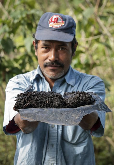 Saiba O Que S O Fertilizantes Organominerais E Org Nicos Agroneg Cios