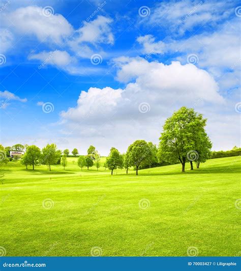 Golf Course Landscape Spring Field Green Grass Blue Sky Stock Image