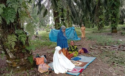 Ketika Konflik Lahan Terus Meluas Reforma Agraria Gagal