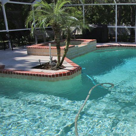 Common Swimming Pool Myths Tips For Pool Owners