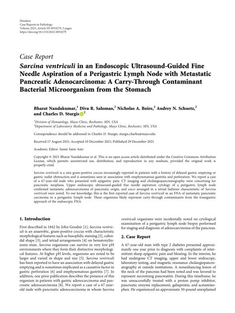 Pdf Sarcina Ventriculi In An Endoscopic Ultrasound Guided Fine Needle