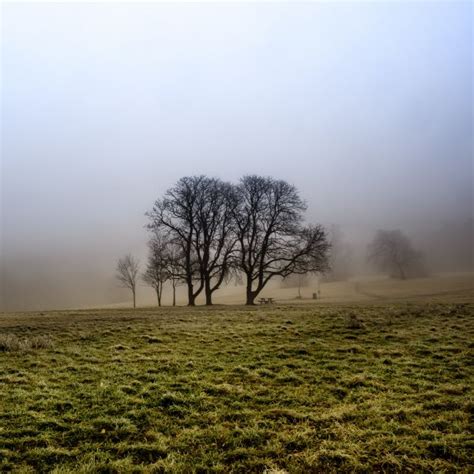 Free Images Landscape Tree Nature Forest Grass Horizon Cloud