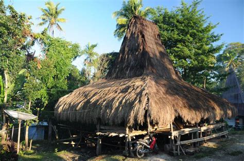 Reisebericht Sumba Ein Tag Auf Der Indonesischen Insel In Bildern Wo