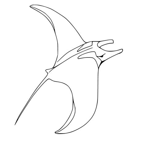 Manta Ray Printable Coloring Pages Coloring Cool