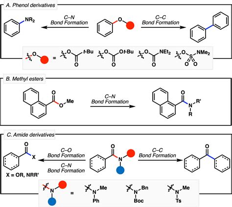 Activation Of Co And Cn Bonds Using Non Precious Metal Catalysis Acs Catalysis