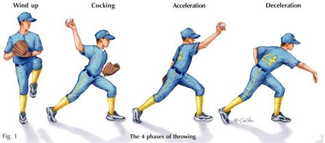 What is Little League Elbow? - Hands On Physical Therapy