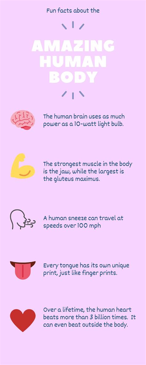 Amazing Human Body Infographic