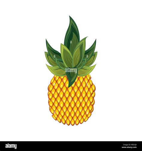 Pineapple Fruit Icon Stock Vector Image And Art Alamy