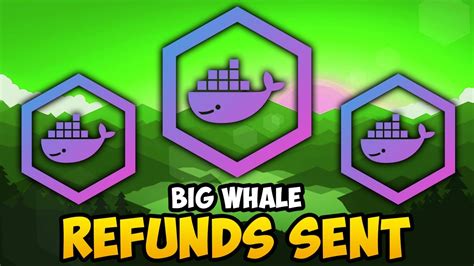 BIGWHALE IO REFUNDS HAVE BEEN SENT BIG WHALE UPDATES YouTube