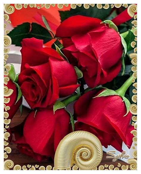 Pin By Rosalee Gatewood On Flowers Red Roses Rose Flowers