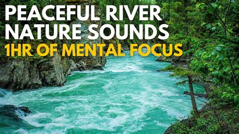 Peaceful River Flowing Sound Gentle River Relaxing Nature Sounds