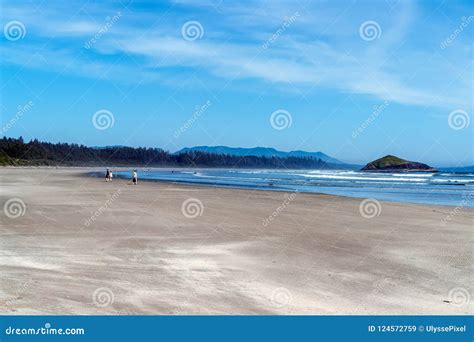 Long Beach in Tofino - BC, Canada Stock Image - Image of ocean, beauty ...