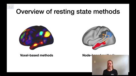 28 Resting State Introduction To Resting State Fmri And Ica Rest E1