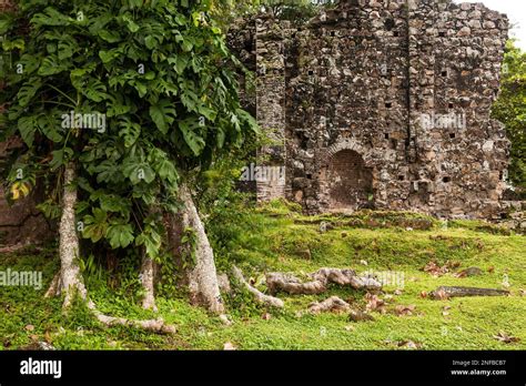 Ruins of Panama Viejo or Old Panama, near Panama CIty, Panama. Panama Viego was founded in 1519 ...