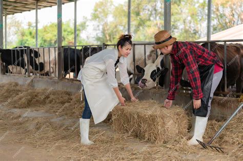 Premium Photo Asian Farmer Work In A Rural Dairy Farm Outside The