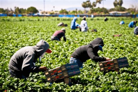 Actividad Econ Mica De Regi N Puebla Tlaxcala Es La Quinta M S Baja Del