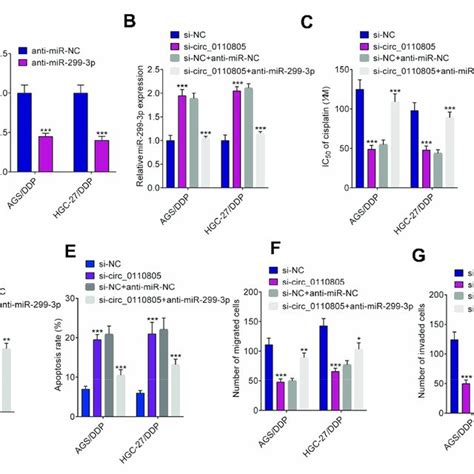 Circ 0110805 Knockdown Inhibits Gastric Cancer Resistance To Cisplatin