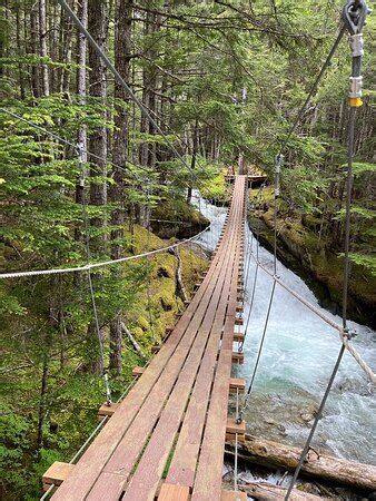 GRIZZLY FALLS ZIPLINING EXPEDITION Skagway 2022 Plan Your Visit