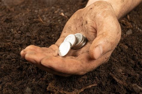 Plantas Por Dinheiro O Conceito De Crescimento De Dinheiro Um