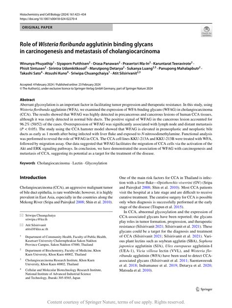 Role Of Wisteria Floribunda Agglutinin Binding Glycans In