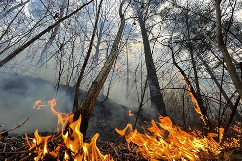 Gallery: Thousands Flee South Korea Wildfire - Caixin Global