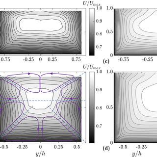 Contour Plots Of The Normalized Longitudinal Velocities U U Max For The