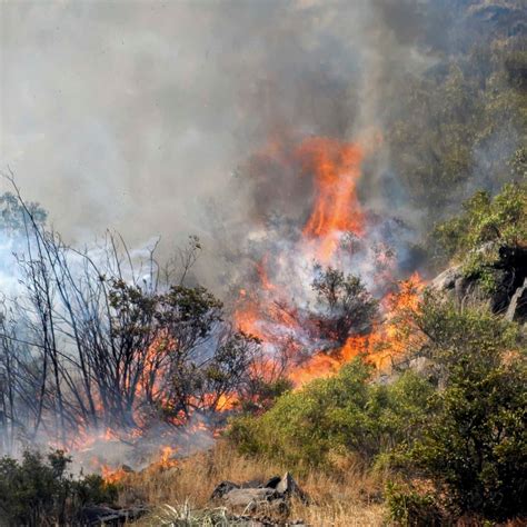 Intendencia Del Biobío Presentó Querella Contra Imputado Por Incendio