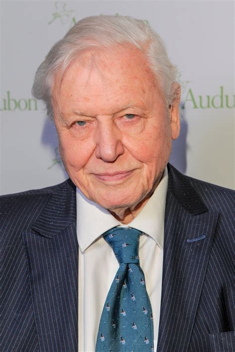 Is David Attenborough Married?