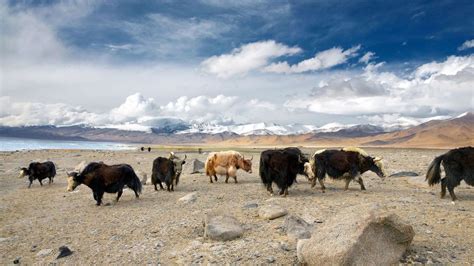 An Ancient Route Through The Clouds Bbc Travel