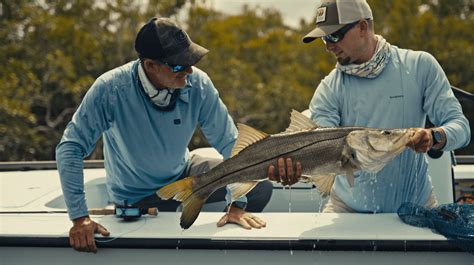 Your Ultimate Guide For Snook Fishing In Florida Updated Nov 2023