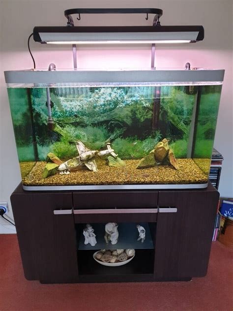 Fluval Osaka Fish Tank In Ayr South Ayrshire Gumtree