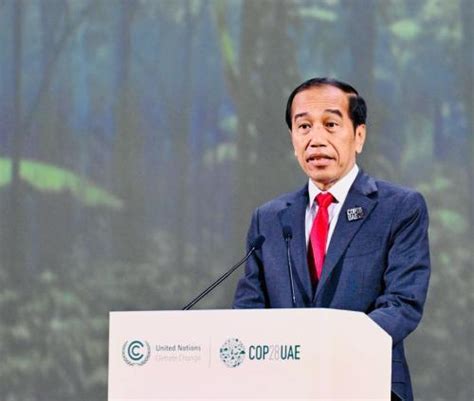 Jokowi Ungkap Langkah Indonesia Capai Net Carbon Sink Sektor Hutan Dan