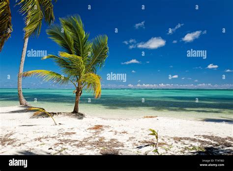 Bavaro Beach Dominican Republic Stock Photo - Alamy