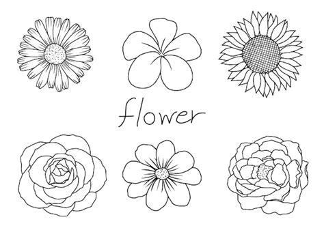 Tropical Flowers Clipart Black And White | Best Flower Site