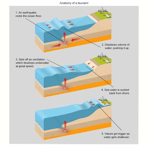 What Is A Tsunami And How Are They Monitored Tsunami Weather