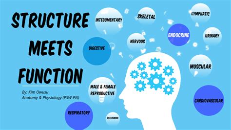 Structure Meets Function By Kim Owusu On Prezi