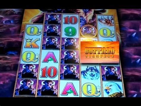 *NEW* Aristocrat - Buffalo Stampede™ - Slot Machine Bonus - YouTube