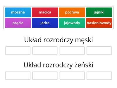 Klasa 7 Biologia Układ rozrodczy Materiały dydaktyczne