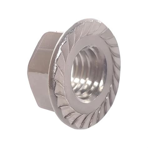 Stainless Steel Hexagonal Flange Nut Thickness 20mm Size 15inch Diameter At Rs 180kg In