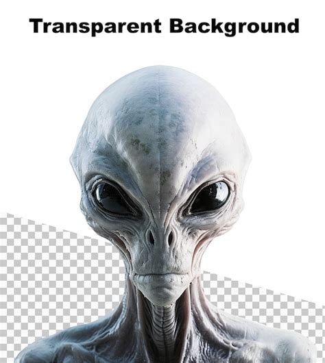 Una Ilustraci N De Un Alien Gena Realista Con Piel Gris Y Ojos Negros