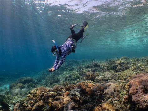 8 Tips Snorkeling Mudah Untuk Pemula