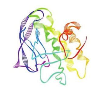 The Computational Predicted Structures Of Three Proteins A