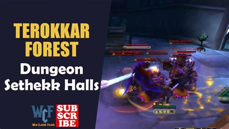 Dungeon Sethekk Halls Terokkar Forest Wow World Of Warcraft Retail